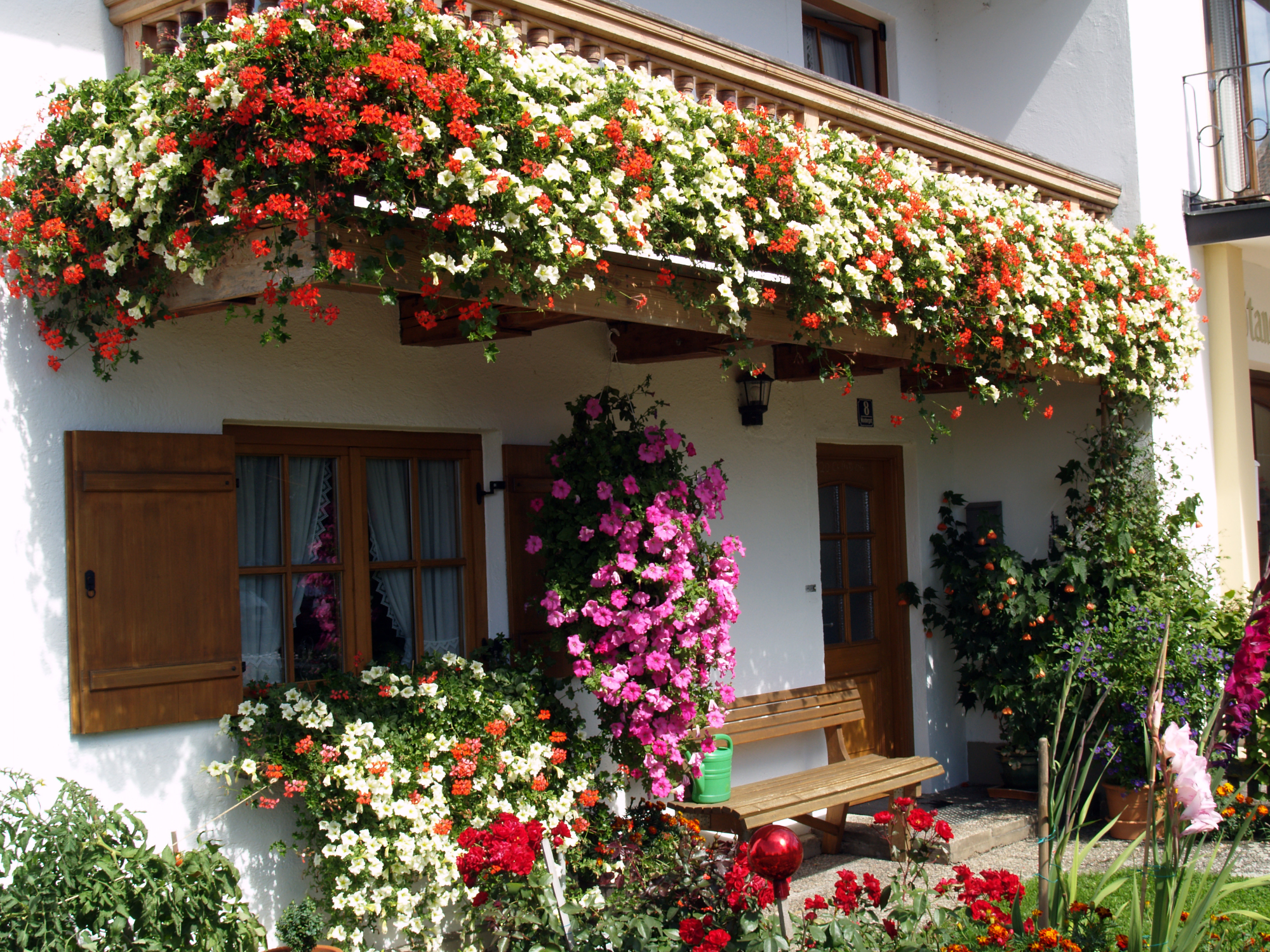 Balkonske rože - ko balkon postane mali vrt